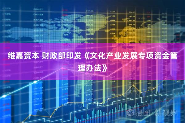 维嘉资本 财政部印发《文化产业发展专项资金管理办法》